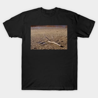 Stranded T-Shirt